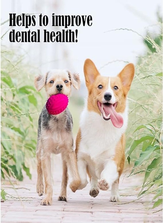 BohoBark Rubber Dog Ball Sound Dog Toys pet Interactive Toys Tough Dog Toys Dog Squeaky Toy Teething Ball for Dogs Dog Teeth Cleaning Toy Dental Dog Ball pet Toy Puppy with The Ball - Image 5